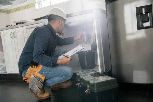 Best Plumbing Inspection Services  in Lawton, MI
